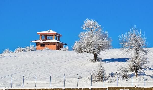عکس طبیعت برفی مازندران