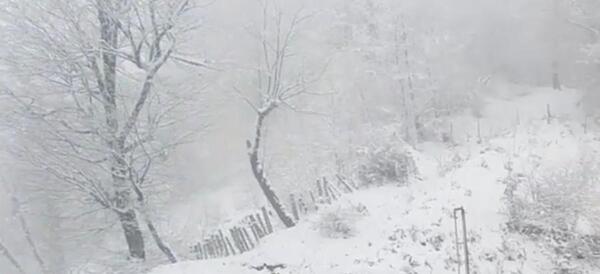 عکس طبیعت برفی مازندران