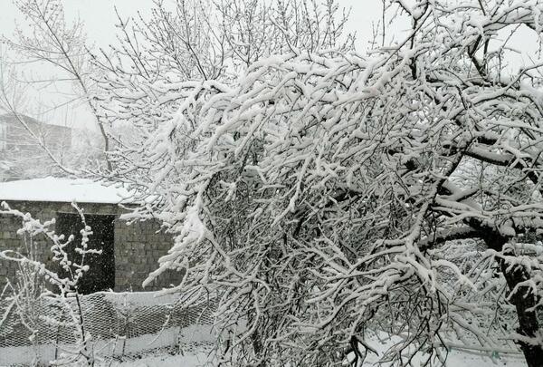 عکس طبیعت برفی مازندران