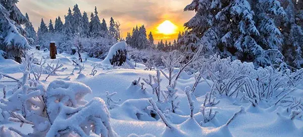 عکس از طبیعت برفی