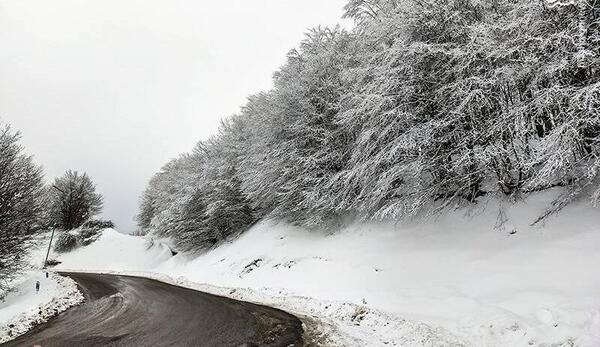 عکس از طبیعت برفی