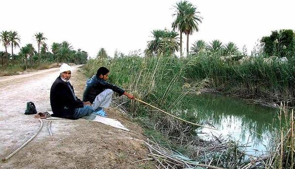 عکس طبیعت آبادان