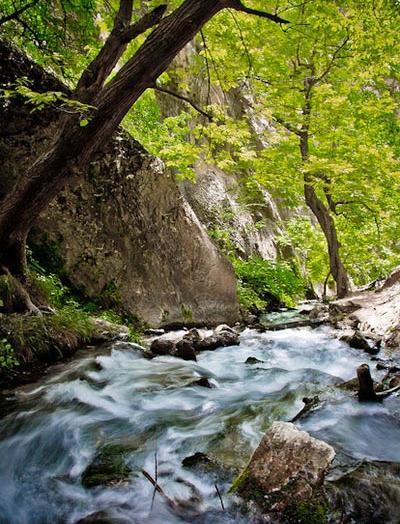 عکس طبیعت آبشار