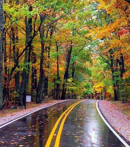 عکس طبیعت با کیفیت بالا برای گوشی