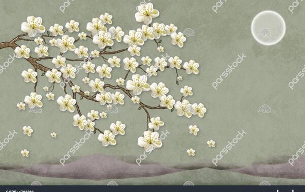 عکس منظره ساده روشن