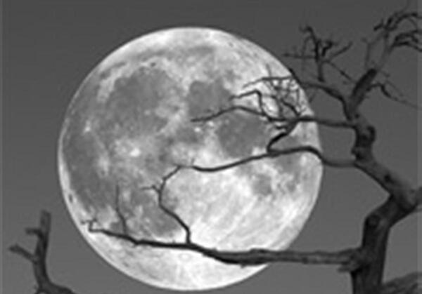 عکس شب اول ماه قمری