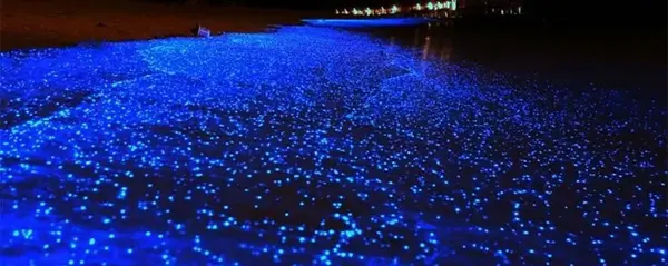 عکس اقیانوس در شب ترسناک