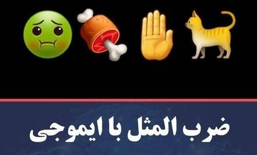ضرب المثل با عکس و جواب
