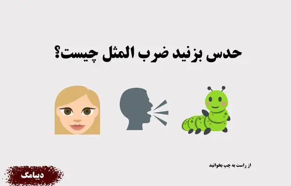 ضرب المثل با عکس و جواب