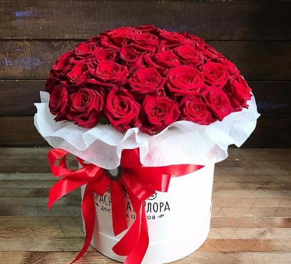 عکس گل شب خواستگاری