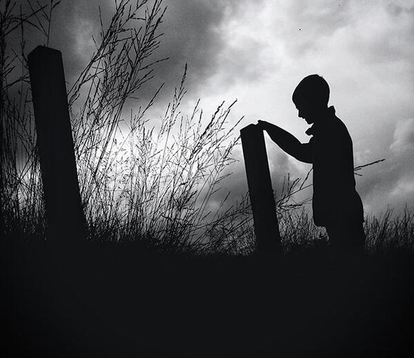 عکس ضد نور از میوه