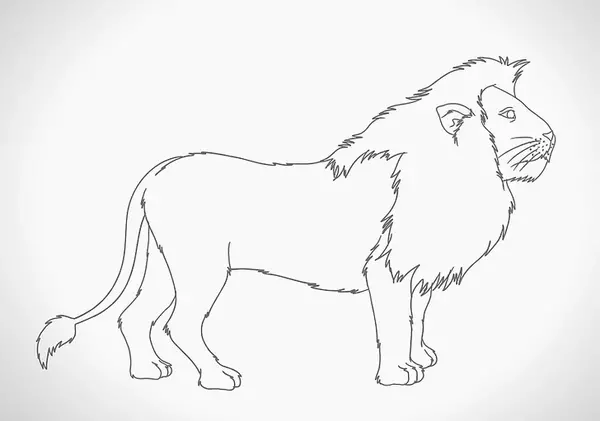 عکس شیر برای نقاشی ساده