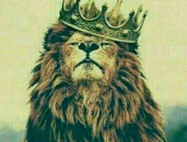 دانلود عکس شیر با تاج