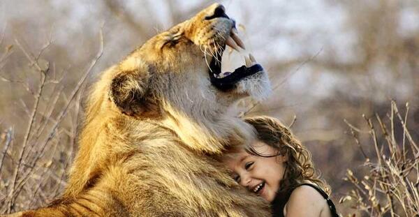عکس شیر بچه ها