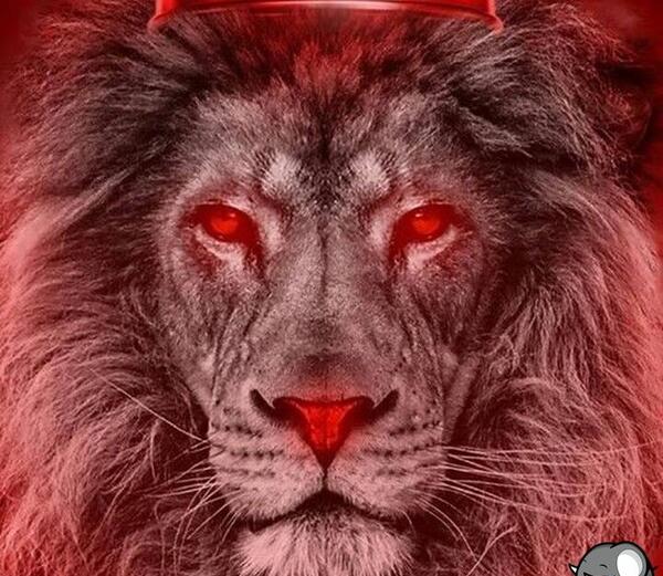 عکس شیر پرسپولیس برای پروفایل