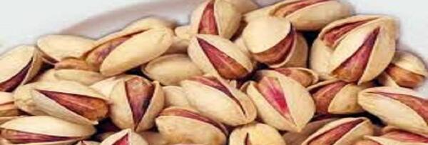 عکس های شیر پسته