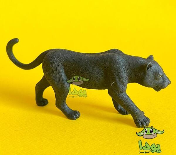عکس شیر پلنگ سیاه