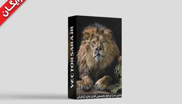 دانلود عکس شیر برای تصویر زمینه