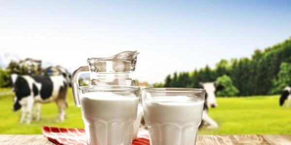 عکس از شیر خوراکی