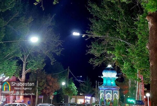 عکس شیر خدا راین