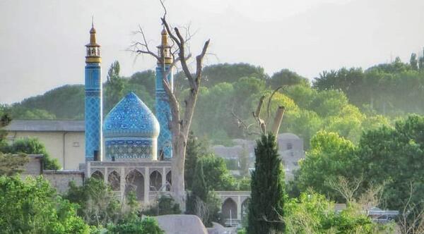 عکس شیر خدا راین