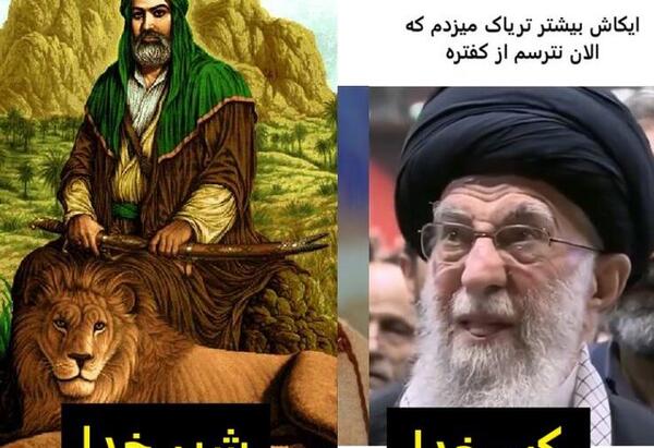 عکس شیرخدا خنده دار