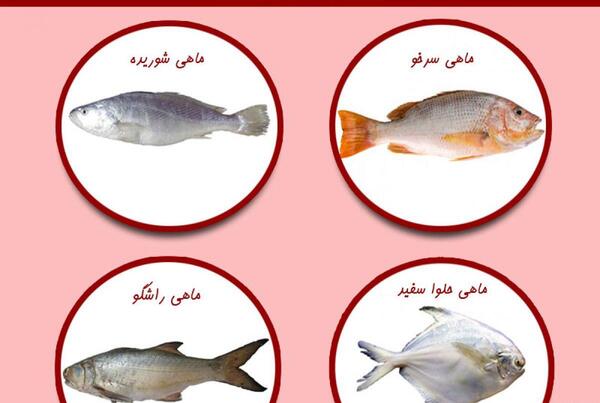 عکس ماهی شیر دریایی