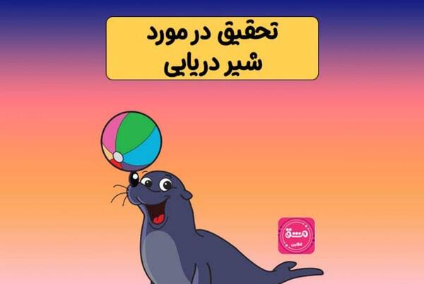 عکس بچه شیر دریایی
