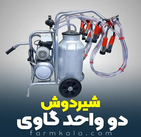 عکس شیر دوش گاو