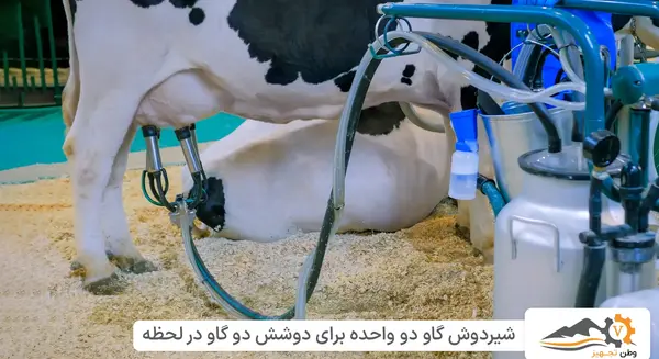عکس شیر دوش گاو