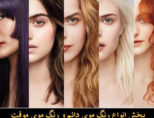 عکس رنگ شیر شکلاتی