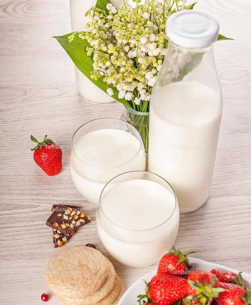 عکس شیر برای صبحانه
