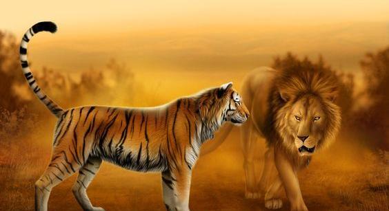 عکس دوتا شیر عاشق