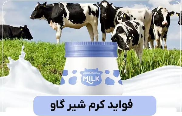 عکس شیر گاوداری