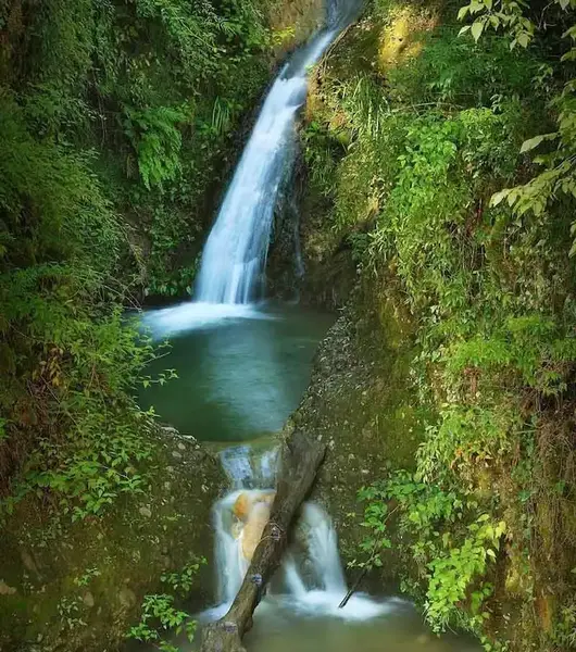 عکس شیرگاه شمال
