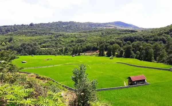 عکس شیرگاه شمال