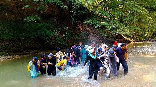 عکس شیرگاه پلنگ دره