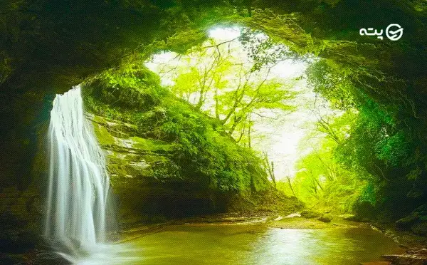 عکس شیرگاه پلنگ دره