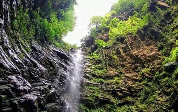 عکس شیرگاه پلنگ دره