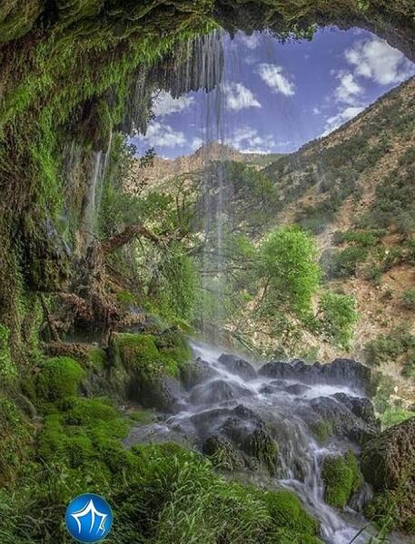 عکس شیرگاه پلنگ دره