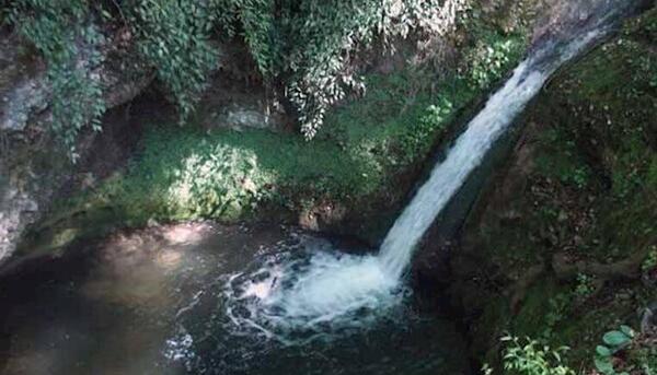 عکس شیرگاه پلنگ دره