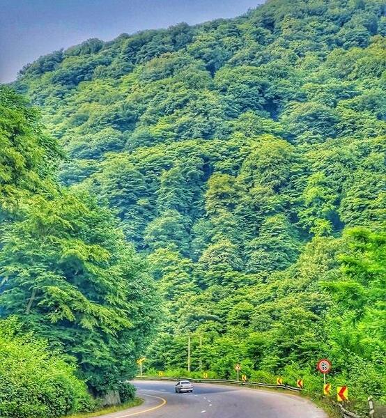 عکس شیرگاه علی آباد