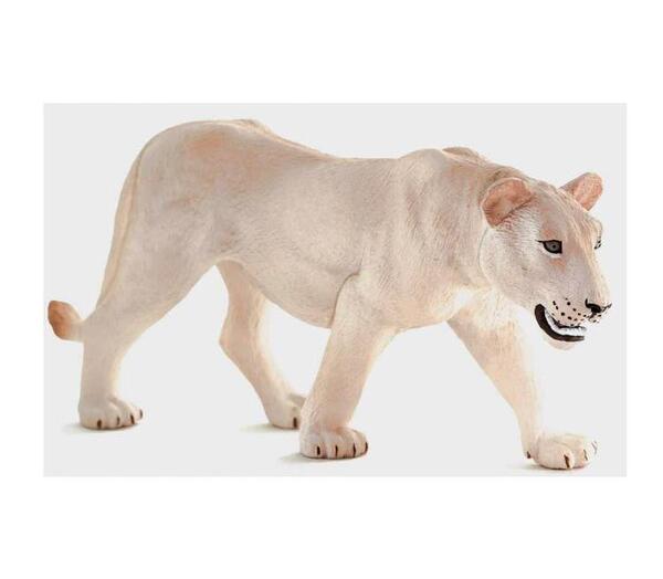 عکس شیر ماده سفید