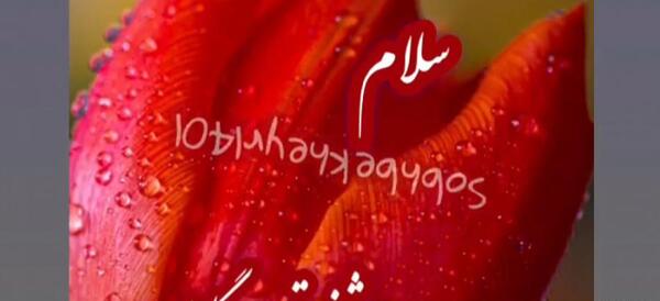 عکس تصاویر صبح بخیر زیبا و جدید برای دوشنبه