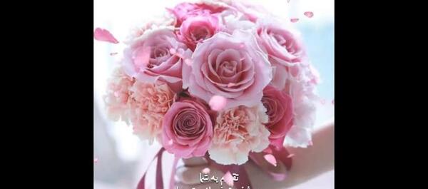 عکس تصاویر صبح بخیر زیبا و جدید برای دوشنبه