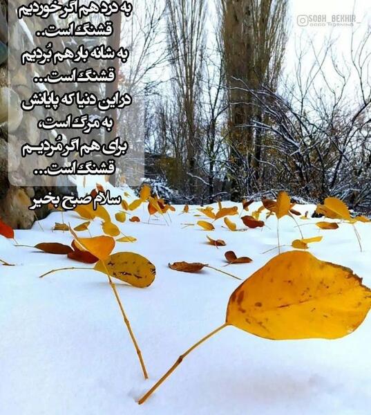 عکس تصاویر صبح بخیر زیبا و جدید سه شنبه
