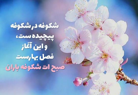 عکس تصاویر صبح بخیر زیبای بهاری
