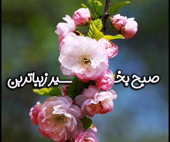 عکس تصاویر صبح بخیر زیبای بهاری