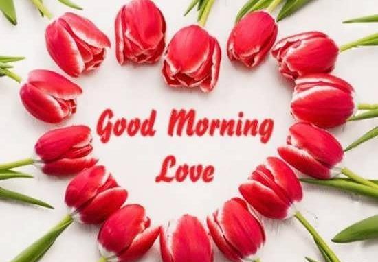 عکس تصاویر زیبای صبح بخیر