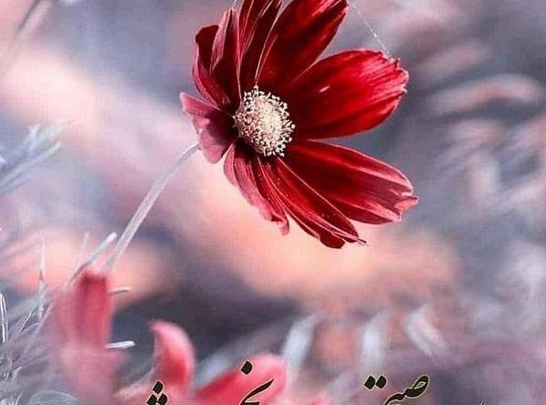 عکس سلام صبح بخیر خارجی